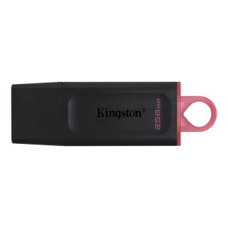 KIN-JET DTX 256GB