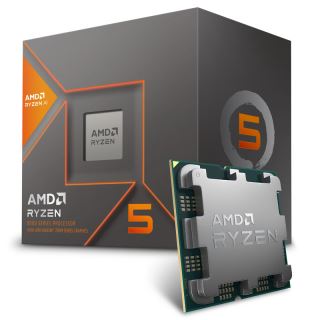 AMD-RYZEN 5 8500G